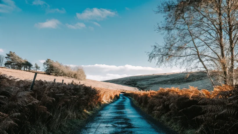 Autumn colors on Yorkshire Dales bridleway with golden bracken and clear sky